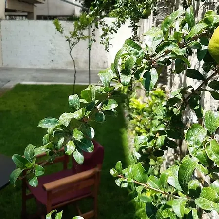 Anastasis Garden Daire Kalamata